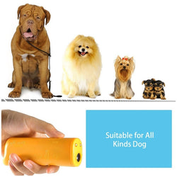 Pet Dog Training Equipment