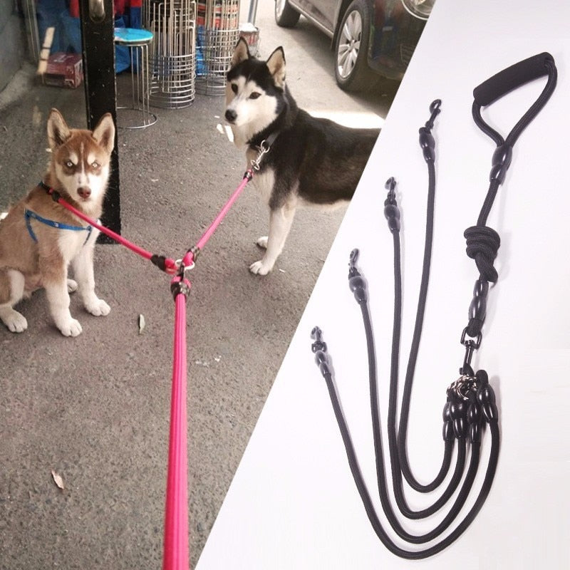 Nylon Double Leashes