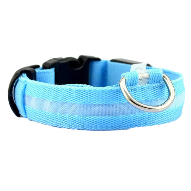 Glow In The Dark Dog Leash